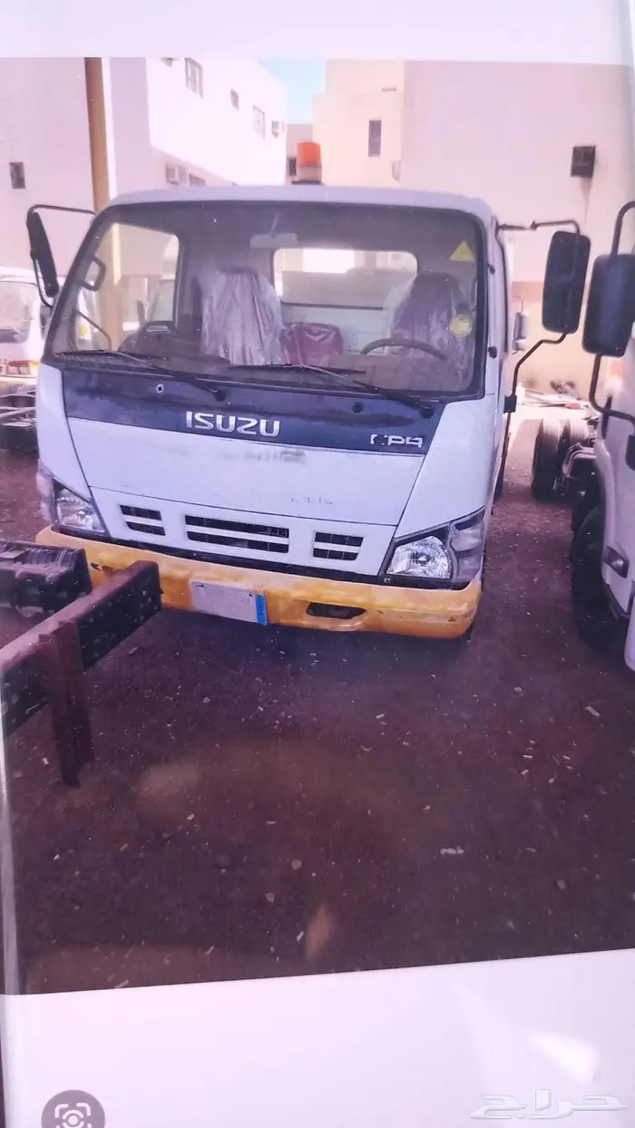 دينا ايسوزو 2008 4