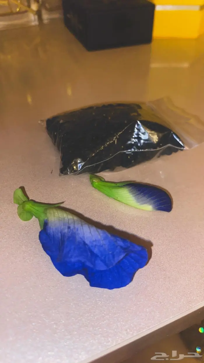 بذور الشاهي الأزرق 0