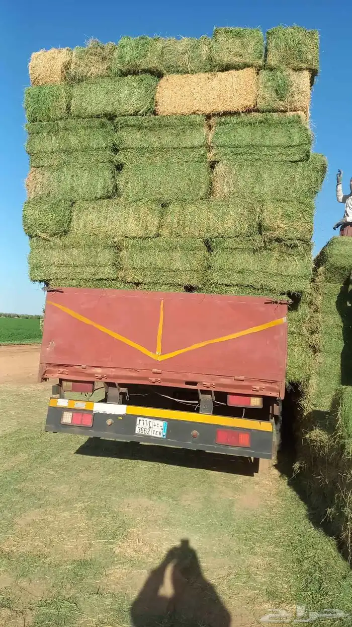 جميع انواع الاعلاف 5