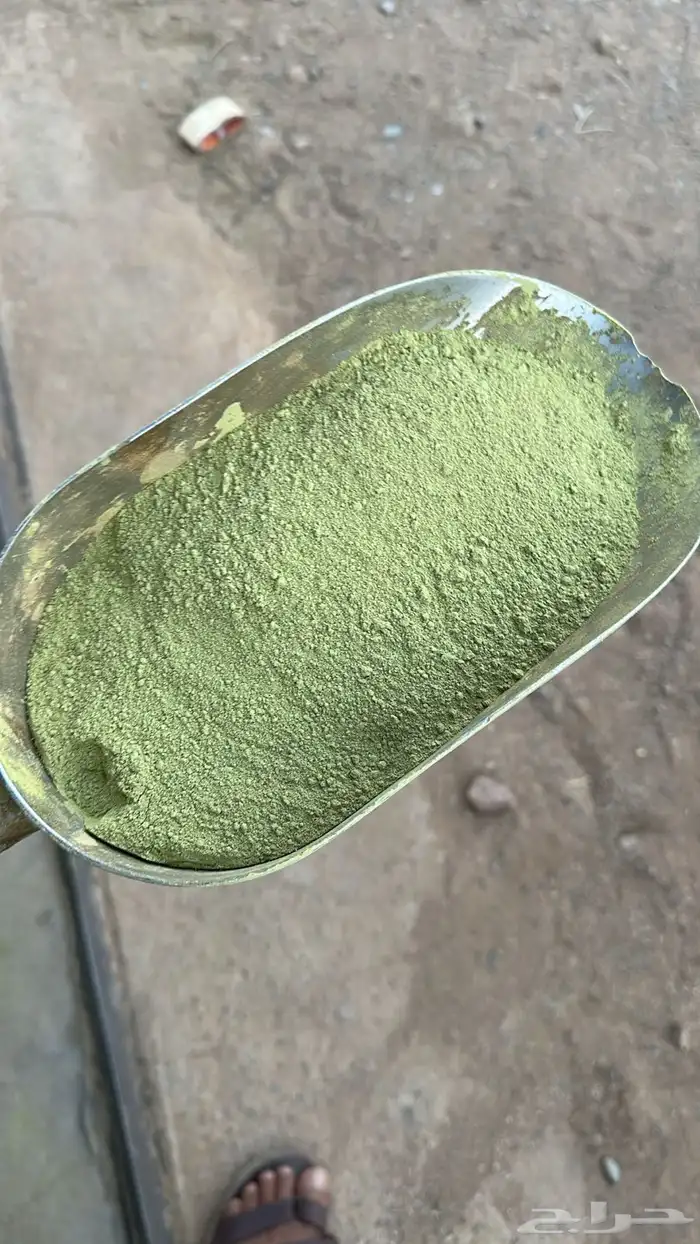 حناء و سدر المدينه عضويه 100 1