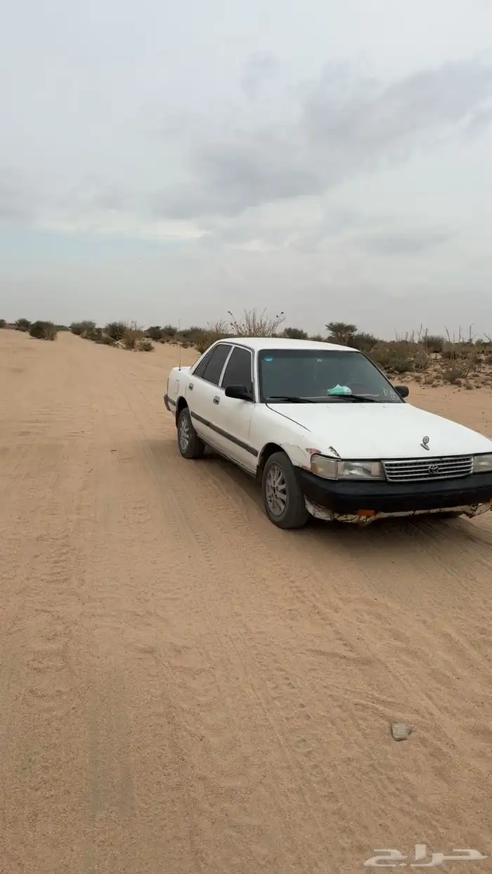 كارسيدا 90 ع جميع الشروط لا يتواصل إلا الصامل 2