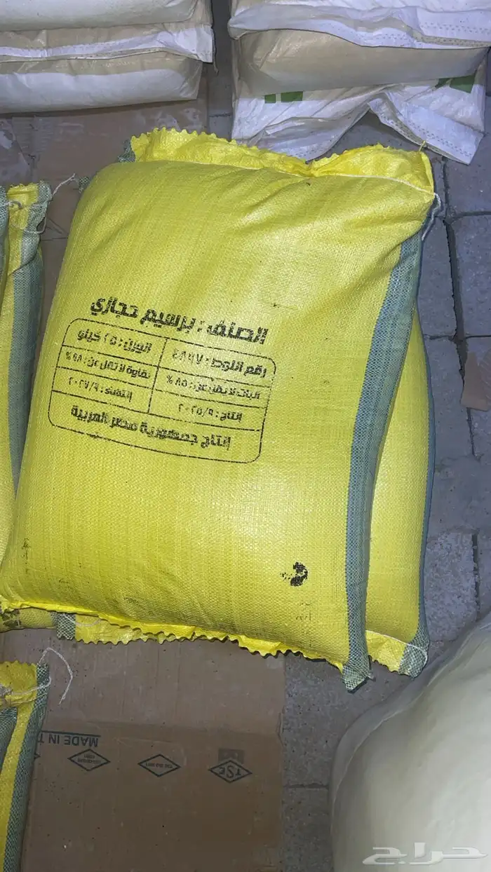 برسيم حجازي 1