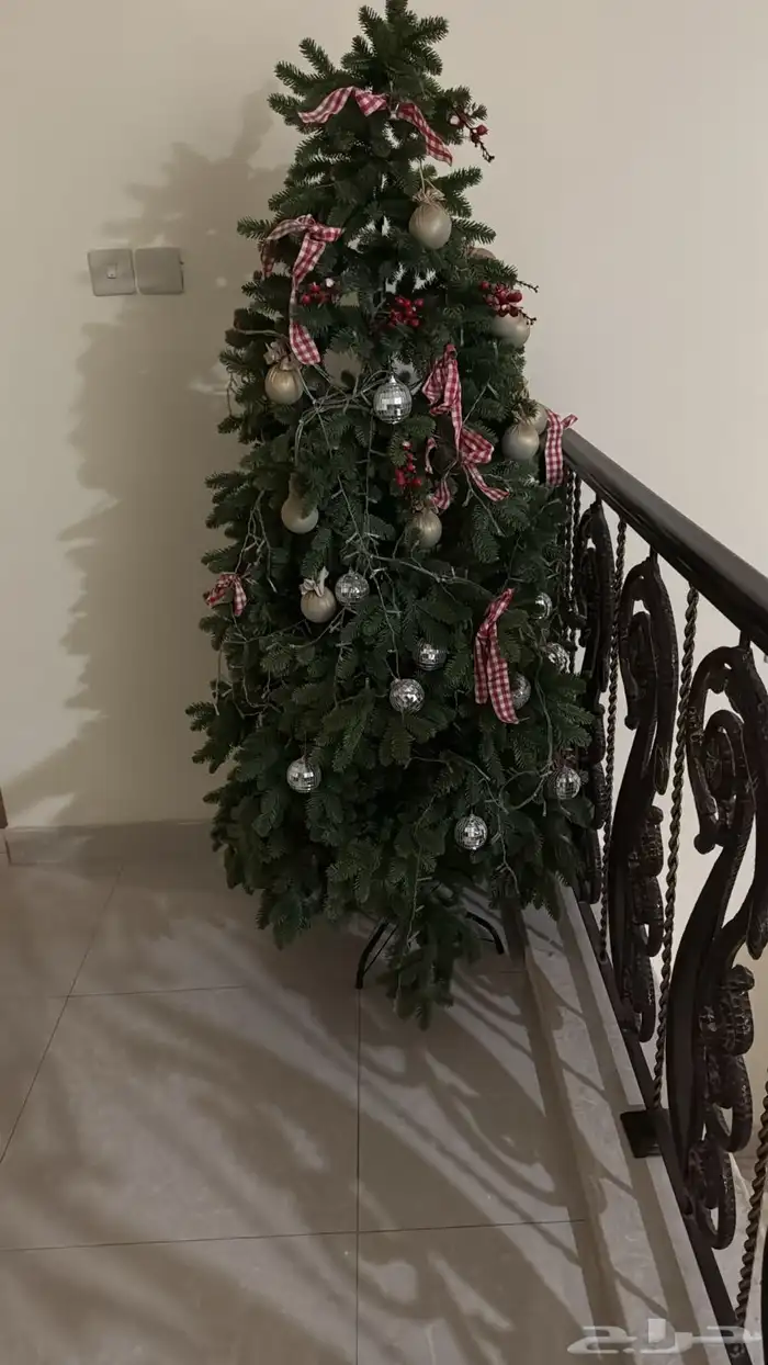 شجرة عيد الميلاد 1