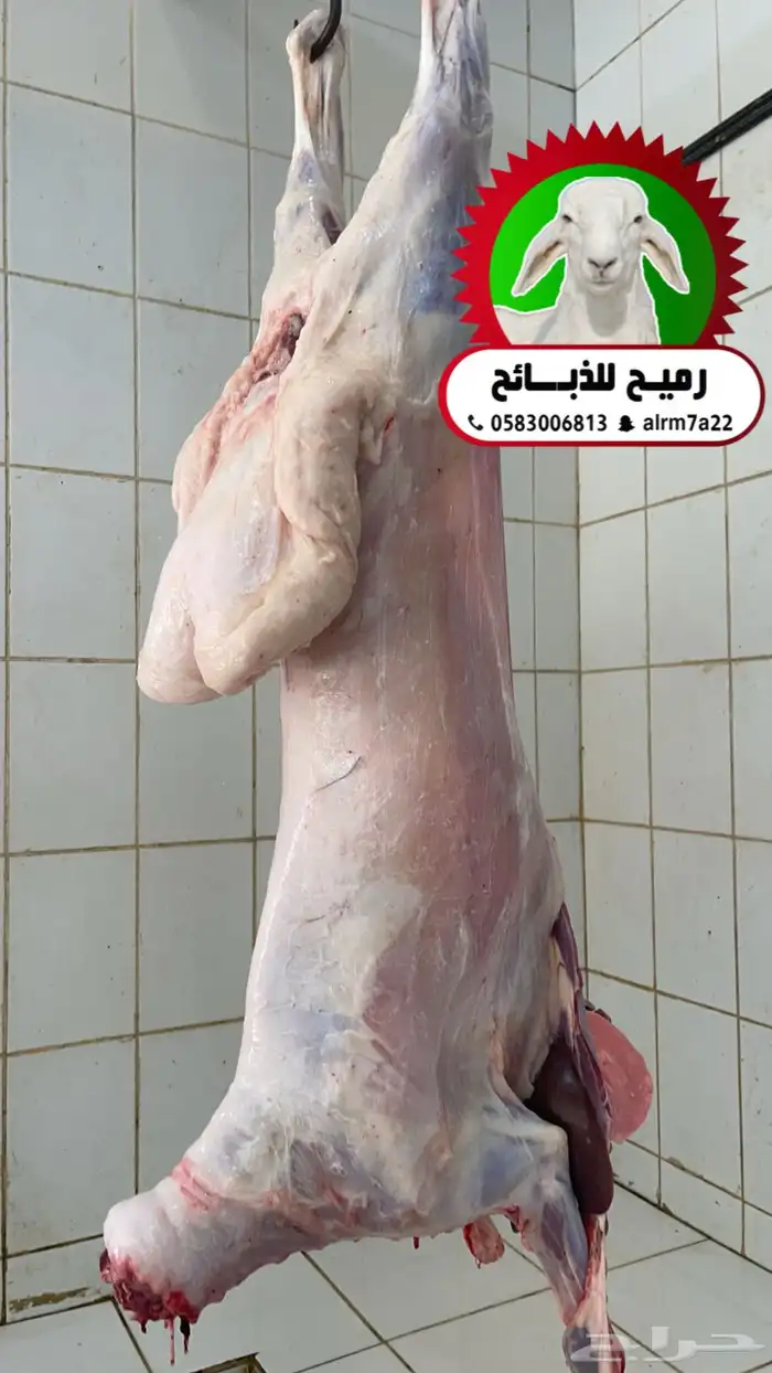رميح للذبايح.. نحرص على اجود انواع الذبايح 3