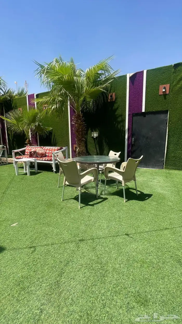 متبقي ايام قليله على عرض 199 ريال الى الأربعاء لحقق على العر 2