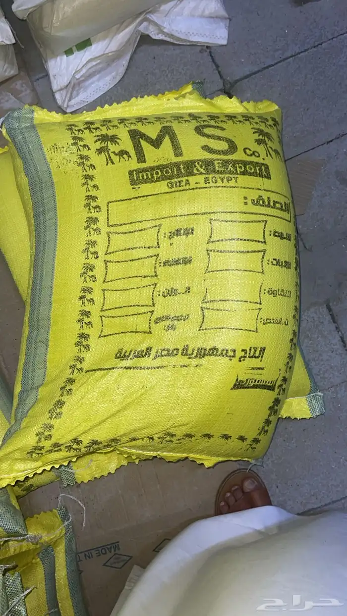 برسيم حجازي 0