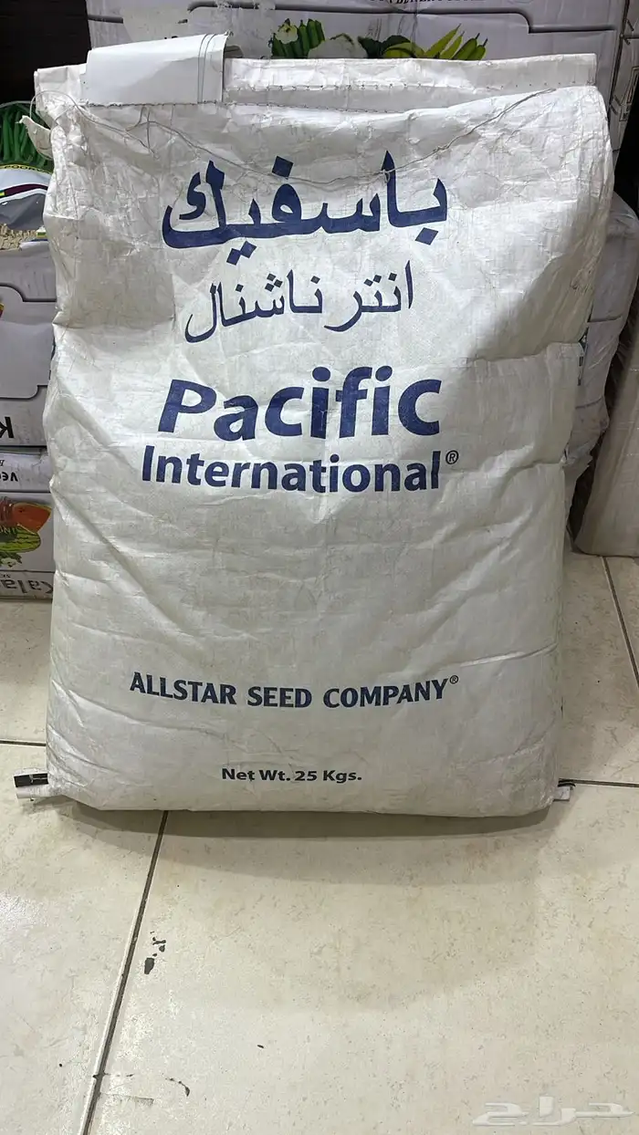 بذر برسيم اصلي 0