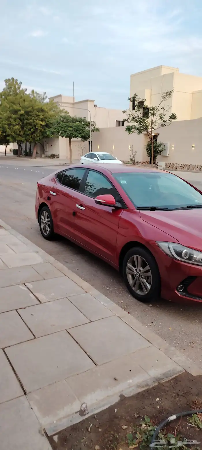 النترا 2017 نص فل 6