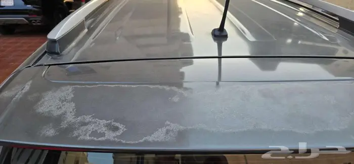 راف فور 2013 6