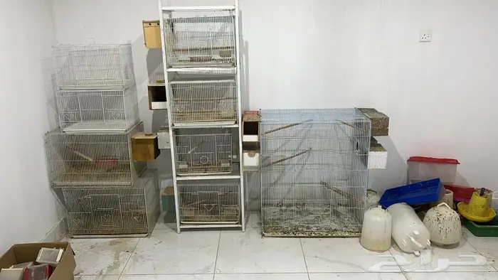 بيع مسلتزمات طيور واقفاص وبياضات مستخدمه 0