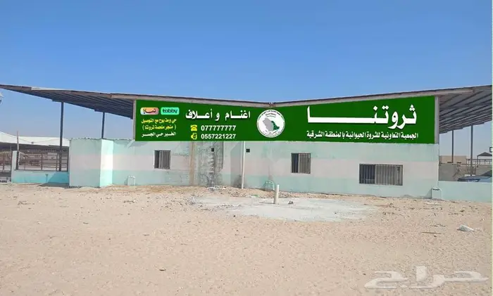 اعلاف مستودع احواش للتقبل او التاجير او التشغيل 1