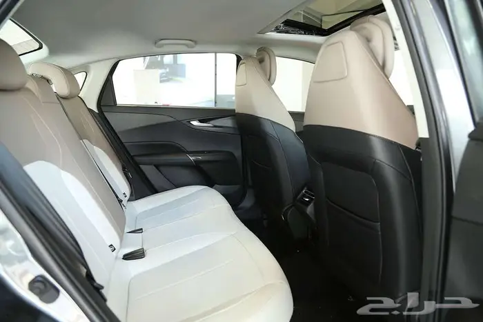 تصميم جريء يعكس شخصيتك ايدو بلس ترند 2026 8