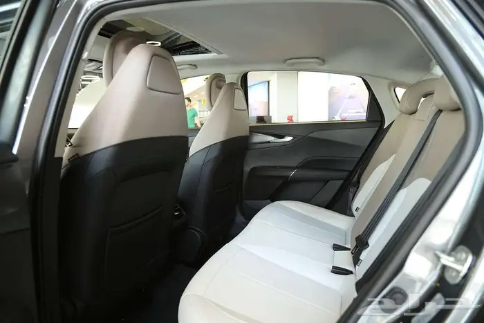 تصميم جريء يعكس شخصيتك ايدو بلس ترند 2026 7