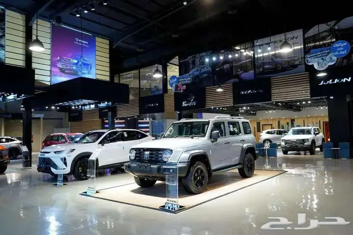 هافال تانك 300 رمادي 2025 2