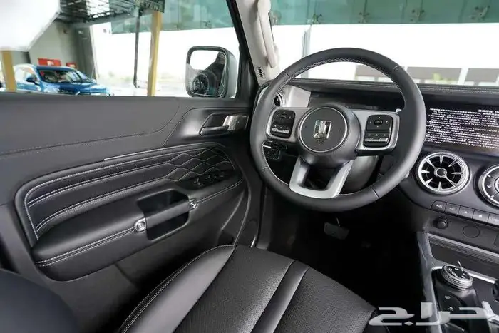 هافال تانك 300 رمادي 2025 14