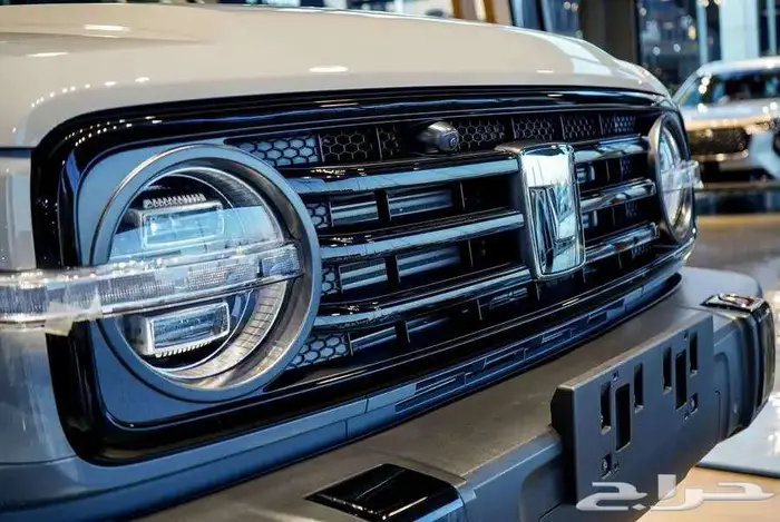 هافال تانك 300 رمادي 2025 21