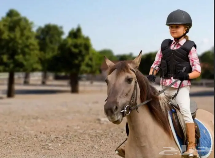 تدريب ركوب خيل وتدريب تكوندو 0