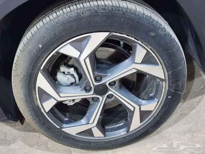 جيلي ستار راي GF فل الوعلان 2024 15