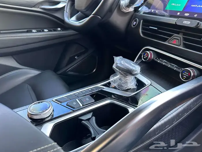 جيلي توجيلا 2023 17