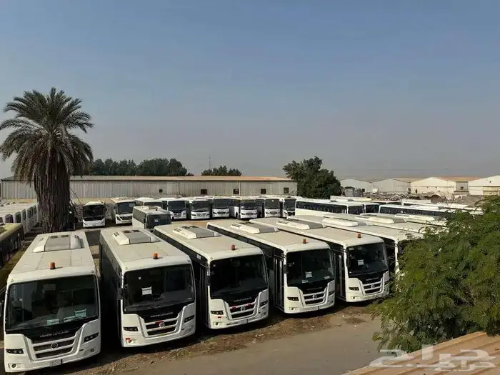 تأجير باصات وقلابات ووايتات مياه وبيك اب 4