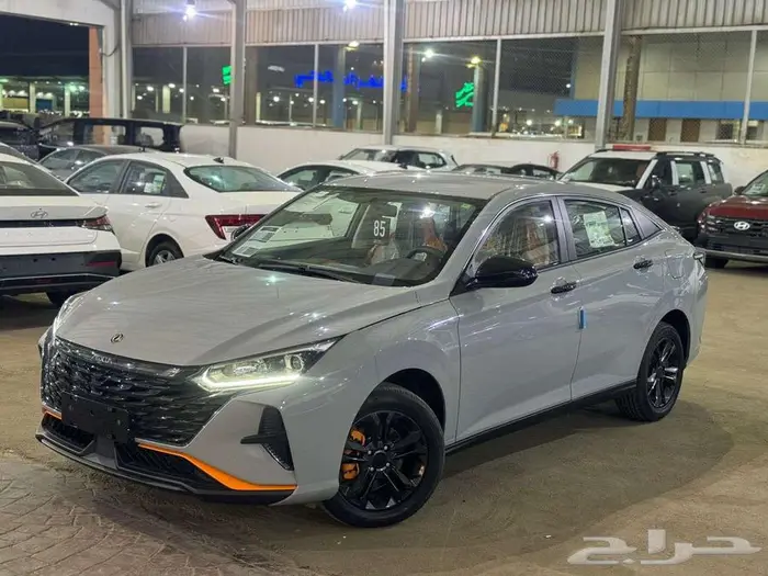 دونج فينج شاين 1 2025 عرض خاص 4