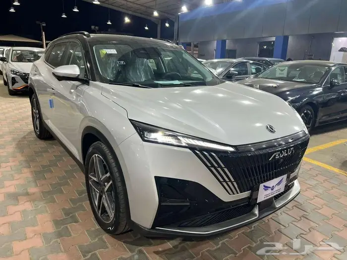 دونج فينج ميج 2026 5