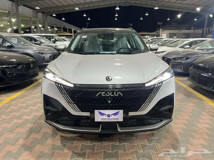 دونج فينج ميج 2026 0