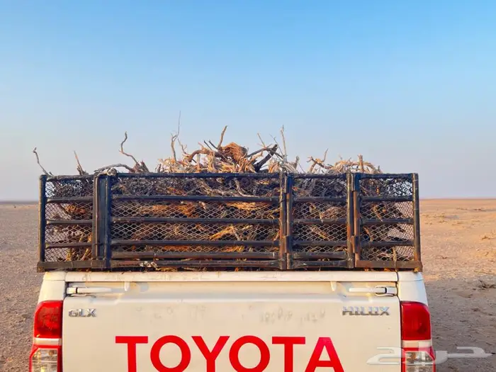 رمث القصيم يوجد حمل غمارتين 0