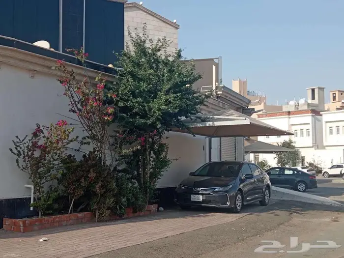 تويوتا كورولا 2024 6