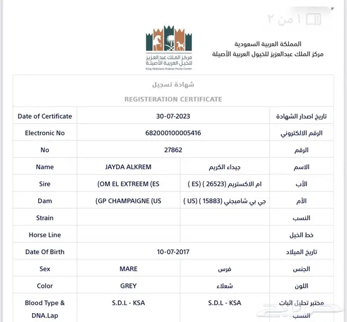 فرس واهو فاخره لقاح على البطل حابس الزبير 0
