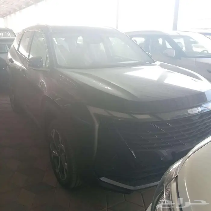 جيلي ستار راي نص فل 2024 كمية محدودة 0