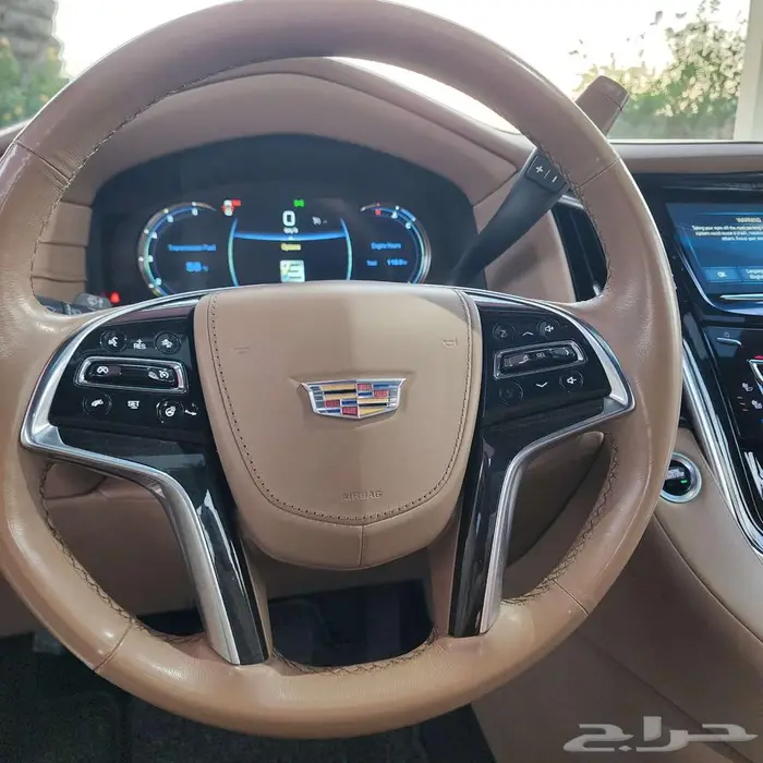 كاديلك اسكاليد 2020 نظيف جدا 20