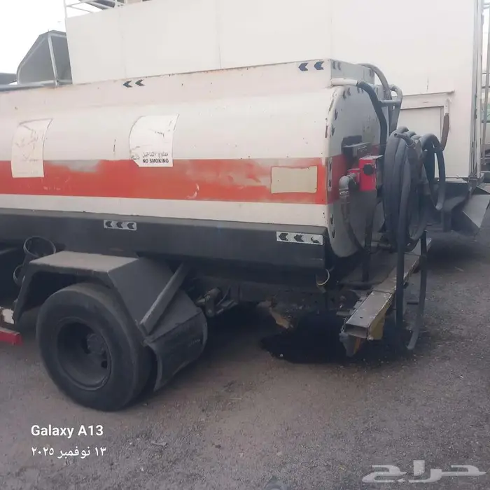 دينا ايسوزو 2008 6