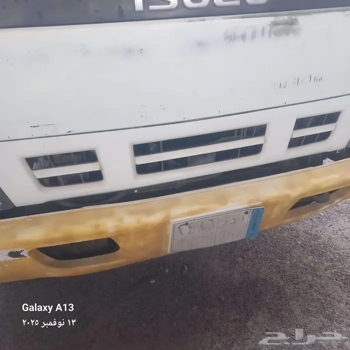 دينا ايسوزو 2008 11