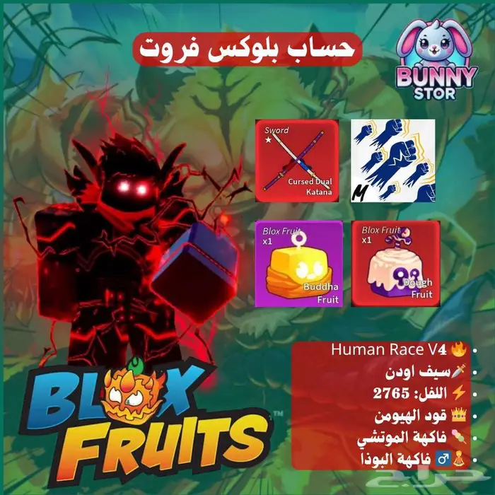 حساب بلوكس فروت ريس هيومن v4 فاكهة موتشي و البوذا سيف اودن 0
