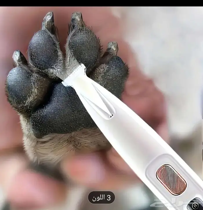 مستلزمات قطة مستعملة 8