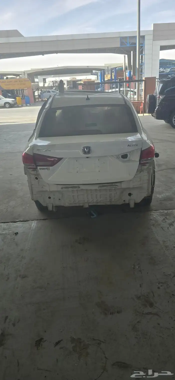 شانجان ال سفن تشليح. 2023 3