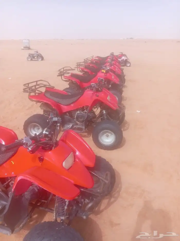 دبابات وبقي للبيع 1