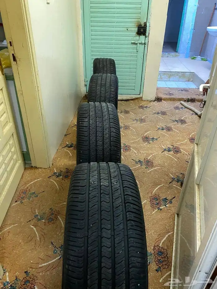 جنوط سياره 1