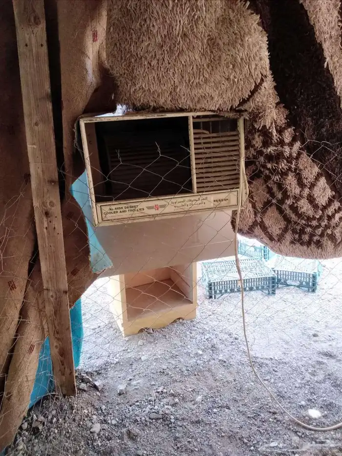 فقاسه فل اوتوماتيك تشيل 1320 بيضه شبه الجديده استخدام اقل م. 6