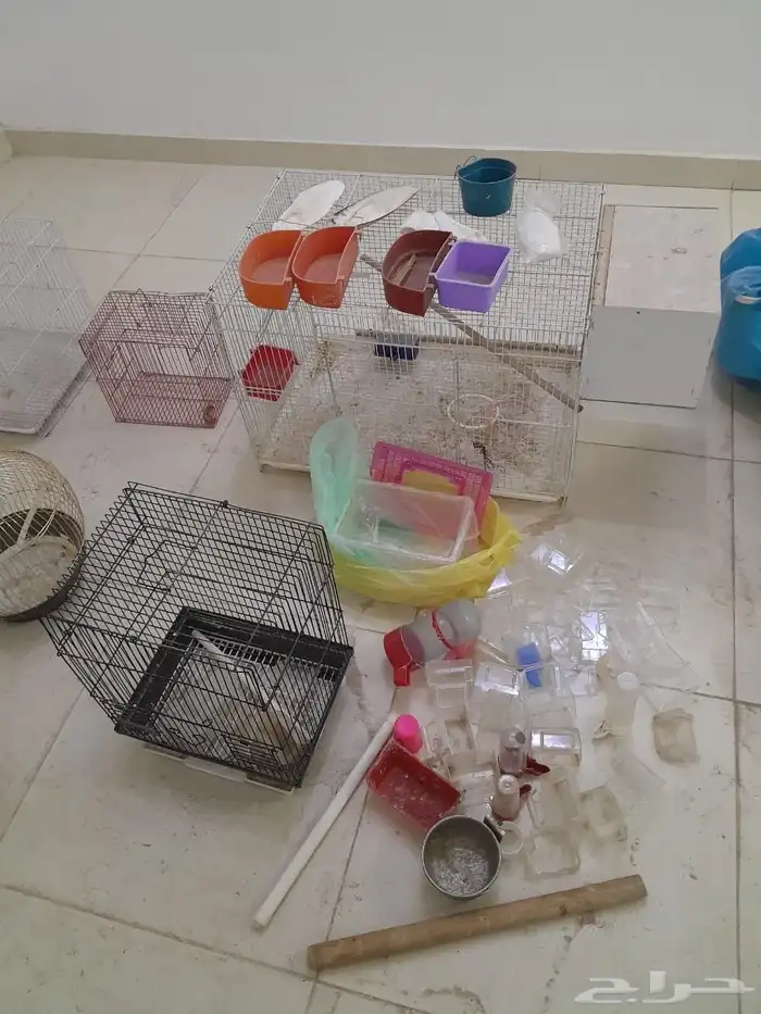أقفاص نظيفه للبيع بكامل ملحقاتها 0