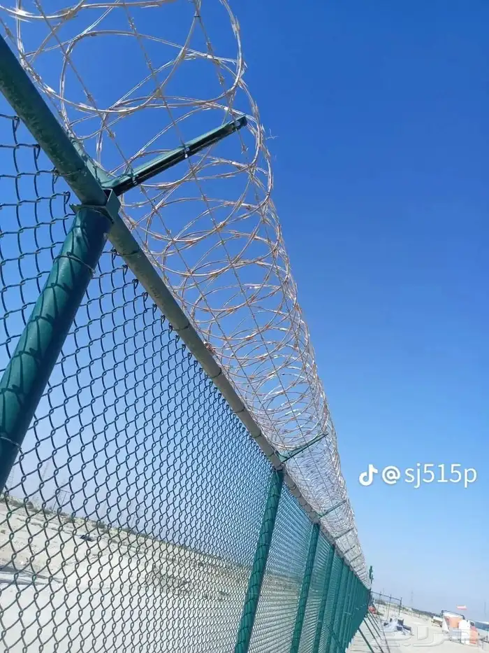 نخل للبيع جميع جميع الأنواع متوفره وجميع المقاسات.وكما يوجد 6