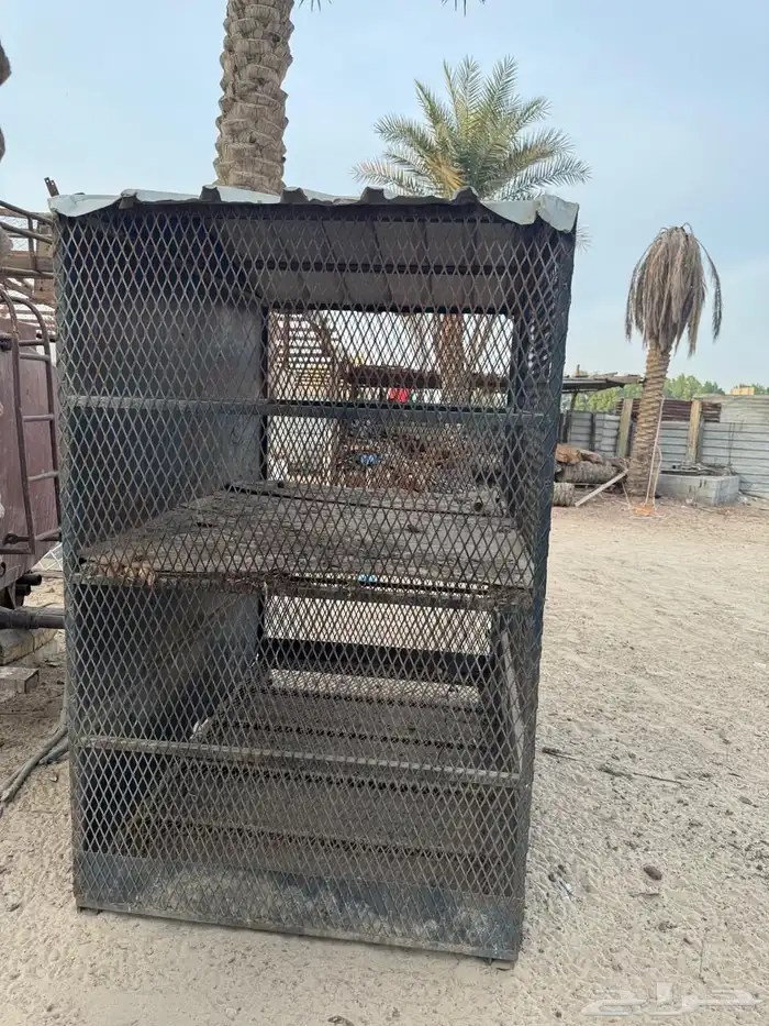 للبيع محكر او حضيره دورين الموقع الأحساء 1