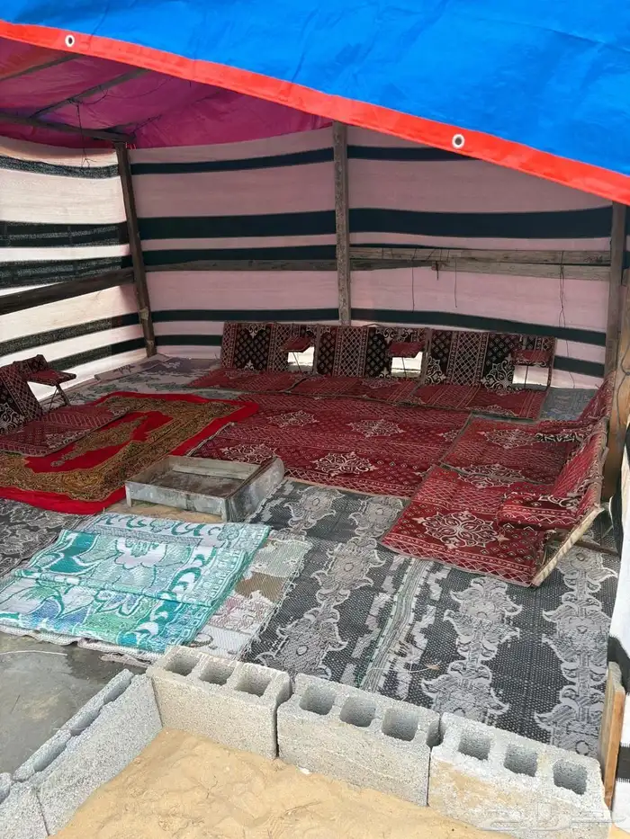 مخيم لقاء الاحبة للإيجار 13