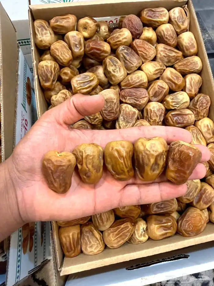 للبيع تمر سكري مفتل فاخر 7