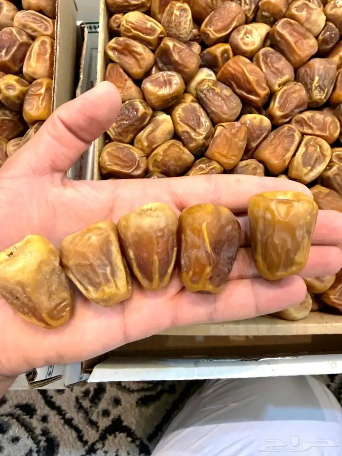 للبيع تمر سكري مفتل فاخر 6