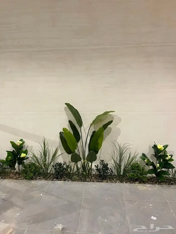 تنسيق الحدائق أي نوع شجر حسب الطلب انشاءلله 3