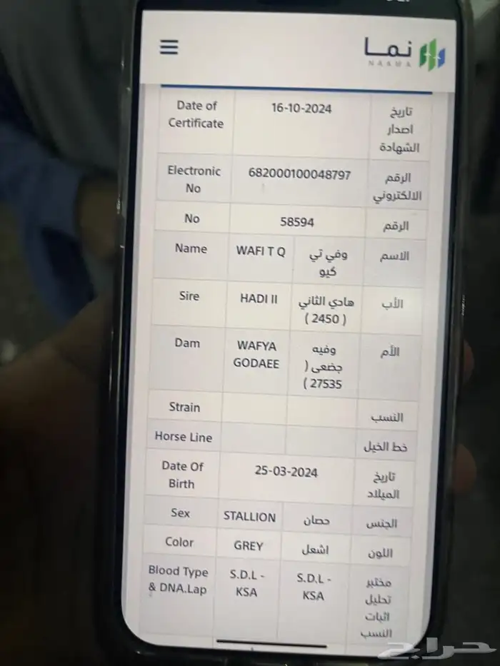 مهر واهو جزيري 6