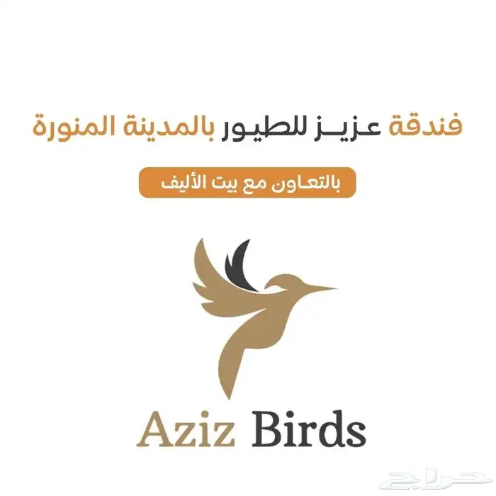 فندقة عزيز للطيور بالمدينة المنورة Azez birds 0