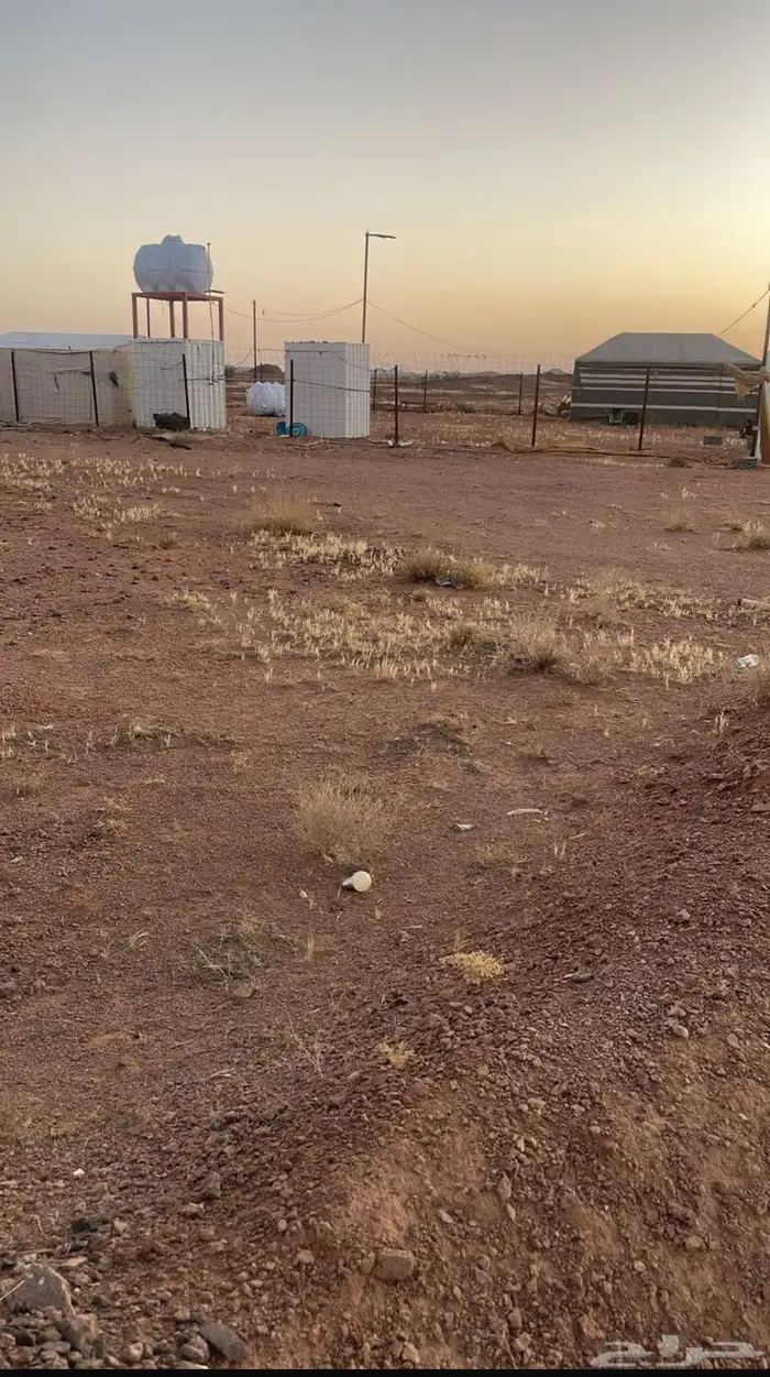 ابي مسوقين عقاري  لعرض الارض بحايل 0